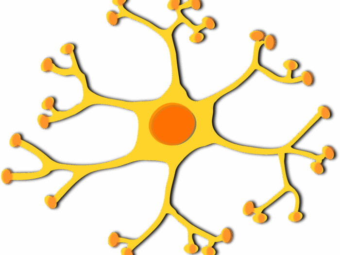 neuron-306034_1280