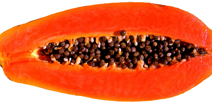 papaya-cibum