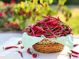 peperoncino_salute