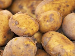 potato-3440360_1280