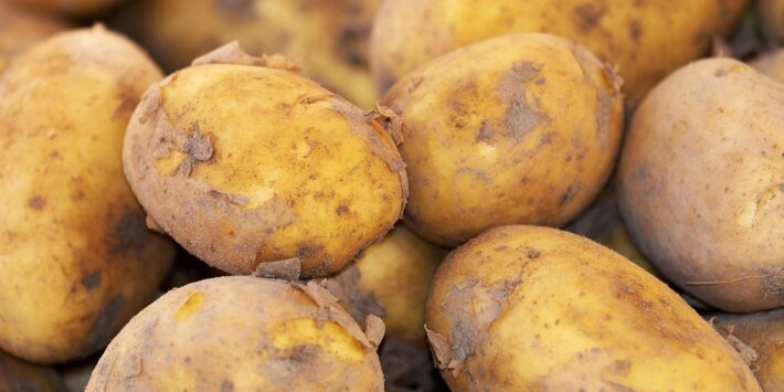 potato-3440360_1280