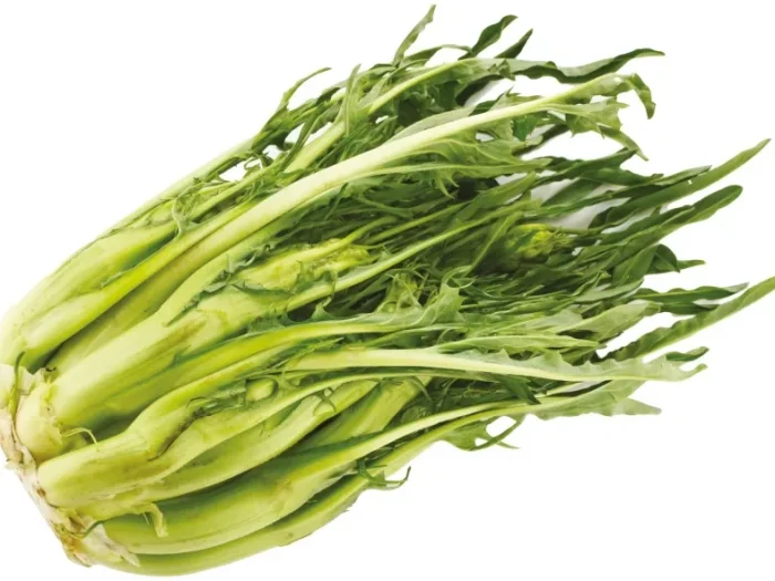 puntarelle