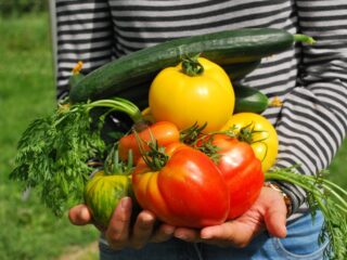 vegetables-742095_1280