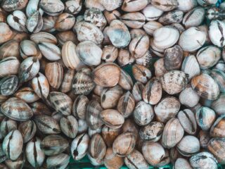 vongole-benefici