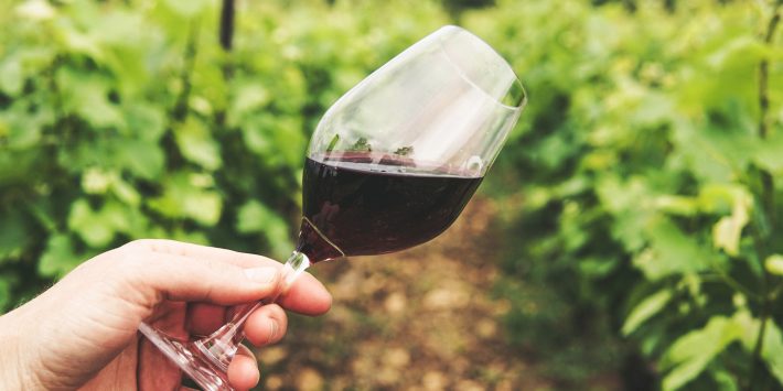 wine-cibum