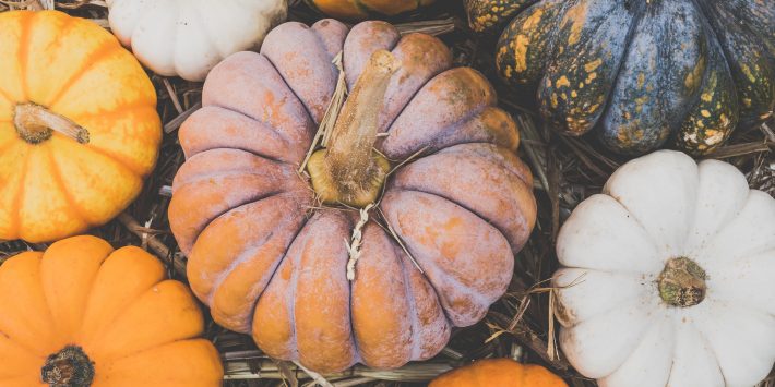 zucca-cibum