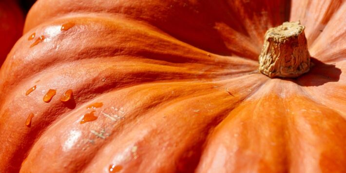 zucca_salute